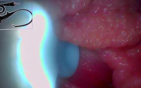 Exclusive: Camera Goes Inside - We Found My G-spot and Captured 5 Orgasms! - HD - 8:17 video - from xHamster