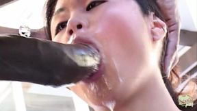 Her Asian Holes Can Take BBC and Make It Cum All Over Her Face - HD - 38:52 video - from xHamster