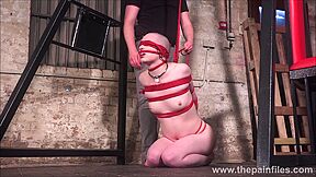 Bald Eryn Rose suspension bondage whipping - HD - 6:28 video - from VXXX