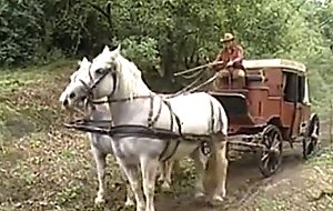 Cacciatori di taglie - 73:51 video - from SexTVX
