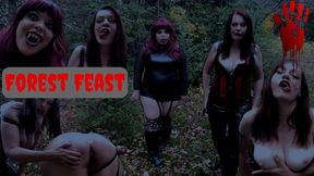 Forest Feast - HD - 9:36 video - from LoyalFans