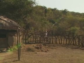 Victoria Falls - HD - 74:00 video - from AEBN