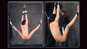 Fitness Models Bound Volume Three - Wenona Suspended and Whipped - SD - 11:02 video - from Clips4sale