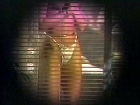 Cock Teasing Exhibitionist - HD - 56:00 video - from AEBN