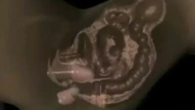 Black Power 2 - BBC PMV by Curva71 - HD - 15:20 video - from Interracial