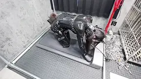 My Doggy Maid - HD - 6:44 video - from Teen21