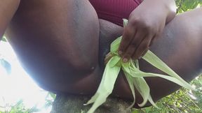Hot Evangelical From the Countryside with a Big, Greedy Pussy Squirting on the Corn Cob - HD - 6:32 video - from xHamster