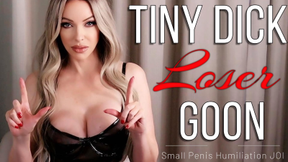 Tiny Dick Loser Goon- SPH JOI - HD - 13:39 video - from IWantClips