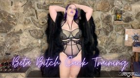 Beta Bitch Cuckold Training - HD - 4:55 video - from LoyalFans