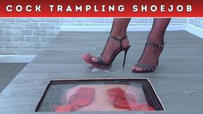 Stomping The Cum From Your Balls Under My Spikey Zara Stilettos & Fishnets (230) - Slave POV Cam - Cock Trampling CBT Shoejob - HD - 15:09 video - featuring Spikey Dee - from LoyalFans