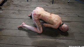 Astonishing Xxx Clip Hd New Only For You - HD - 8:00 video - from ManySex