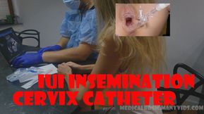 IUI cervix insemination hot girl - HD - 19:48 video - from LoyalFans