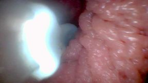 Let's take a peek into my juicy pussy together (endoscope camera) - HD - 5:29 video - from xHamster