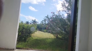 A little taste of our vacation in Cuba - HD - 3:48 video - from Pornzona