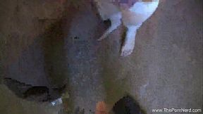 Lola Milano Amateur Blowjob Cumshot - HD - 19:42 video - from XVideos