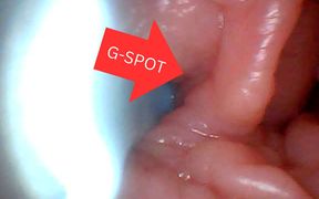 First Time: an Endoscope Reveals the G-spot up Close - Without Mounting! - HD - 7:47 video - from FapHouse