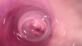 Camera deep inside Mia's creamy pussy, teen Cervix close up - 4K - 9:51 video - from xHamster