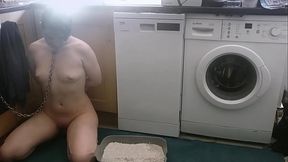 Humiliated little thing, chained up in the kitchen and made to use a litter box ? comment or DM me for the full film (no char... - HD - 0:18 video - from xnxxGold