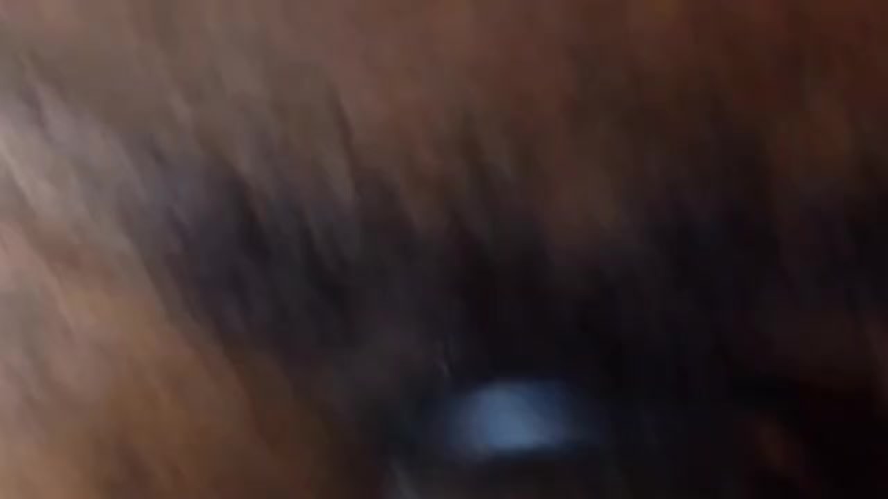 POV ❤️ you slobber and suck making my schlong buldge in your mouth until I drown you in nut - HD - 2:25 video - from PornFreeNow