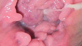 Exploring my vulva - HD - 5:05 video - from xHamster
