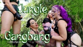 Jungle Gangbang - HD - 17:15 video - from LoyalFans