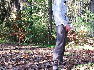 DICKFLASH in the PARK: a horny mother i'd like to fuck can't resist to give a me a hard titty screw - HD - 7:51 video - from FreePorn8