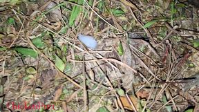 Midnight Jungle Sex,outdoor Sex with Clear Audio - 6:57 video - from FapHouse