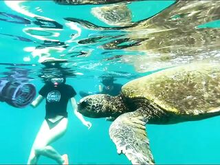 1ST TIME IN HAWAII - LUNA'S TRAVEL (MOVIE 25) - HD - 22:43 video - from BigTitsLust