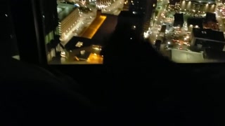 My Cock Was So Hard Jerking Off In Hotel Skyrise, Loud Sexy Guy Orgasm Cum - HD - 9:01 video - from Pornzona