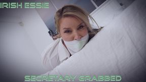Irish Essie - Secretary Grabbed HD ( Secretary , Leather Pants , Duct Tape Wrap Gag , Microfoam Tape Gag , Tape Bondage , Hogtie , Clear Tape Gag ) - 4K - 18:58 video - from Clips4sale