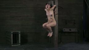 Titless skinny pale brunette gets twat fingers and nipples pinned - 6:30 video - from MyLust
