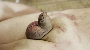 Stapling the cock and balls - ZEIDA and LUCIFERIA sadistic CBT - HD - 1:08 video - from xHamster