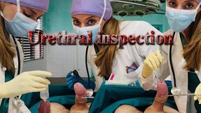 URETHRAL INSPECTION - SD - 15:54 video - from Clips4sale