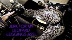 JERK FOR MY LEOPARD LEGGINGS ASS! - HD - 8:35 video - from Clips4sale