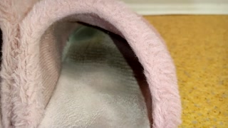 I could stroking, but could't cum...I Love her barefoot in boots and slippers...Eng sub. - HD - 7:38 video - from Pornzona