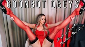Goon Bot Obeys and Strokes to Goddess' Stocking Clad Legs JOI Gooning Jerk Off Instruction Mistress Emily Marilyn - HD - 7:59 video - from Clips4sale