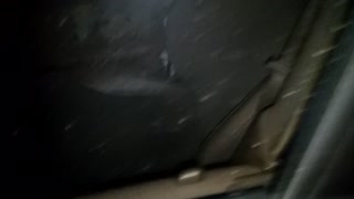 Public desperation pee- lost car keys. redhead freckledred.manyvids.com - HD - 1:45 video - from Pornzona