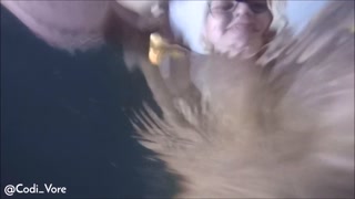 Codi Vore Plays with Huge Tits Underwater - HD - 4:17 video - featuring Codi Vore - from Pornzona