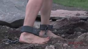Long-haired Dia Zerva and her partner PD return to the farm for some dirty - SD - 33:39 video - from SexPester