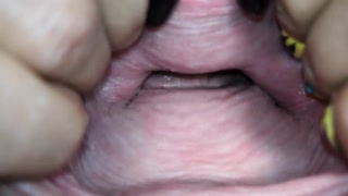 Cervix close up [4k] - 4K - 5:29 video - from Pornfact