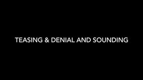 MISTRESS LILY DUPONT : TEASE AND DENIAL SOUNDING - SD - 16:54 video - from Clips4sale