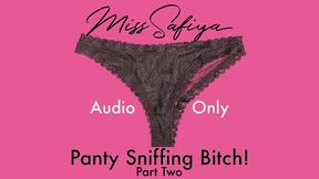 AUDIO ONLY - Panty sniffing bitch Pt 2 - HD - 16:12 video - from FapHouse