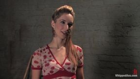 Calico Surrenders - HD - 11:12 video - from xHamster