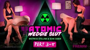 Atomic Wedgie Slut Part 3/5: Extreme Beta Humiliation, Femdom Pegging & Dildo Sucking with Mistress Stellina Obscura - HD - 10:32 video - from LoyalFans