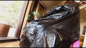 Gorgeous joyful cum bucket of chick waits wide open for enormous penis pump it - HD - 8:12 video - from xHamster