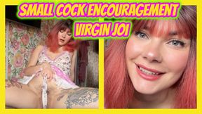 Step-Mommy's Good Boy Small Cock Encouragement and Virgin JOI - HD - 23:57 video - featuring Winky Pussy - from Clips4sale