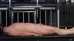 Vacuum dilator play - SD - 16:32 video - from Clips4sale