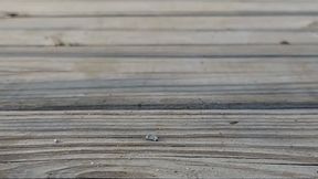 Sole Vlog - SD - 3:40 video - from Clips4sale